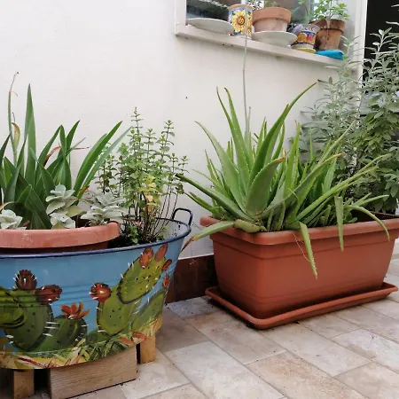 Oltresud Bed & Breakfast